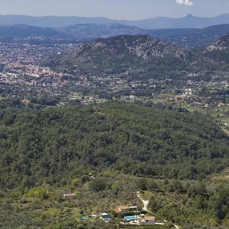 La Vigna Della Corte *