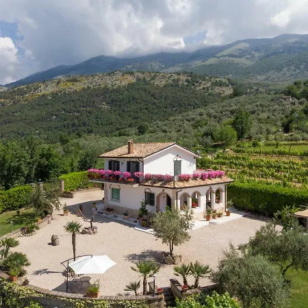 La Vigna Della Corte *