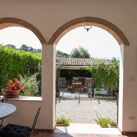 La Vigna Della Corte